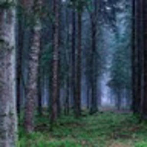 Meet your Posher, Kasey